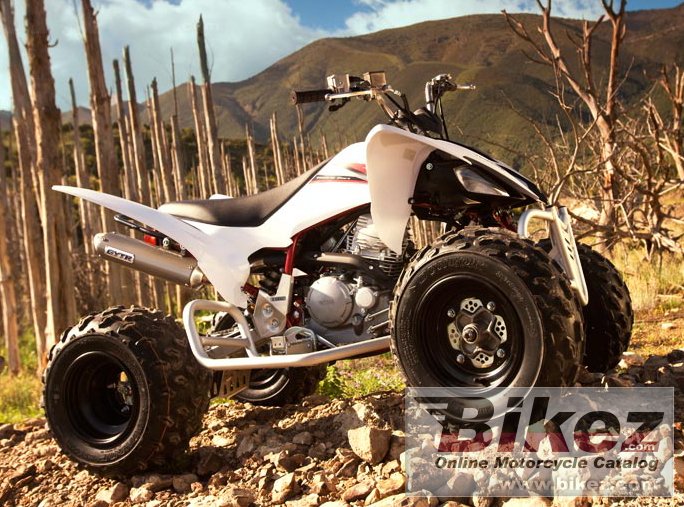 Big Yamaha yfm250r picture and wallpaper from Bikez.com